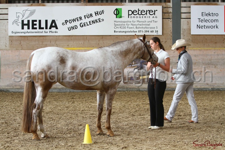 24-ApHC HIH_003.jpg